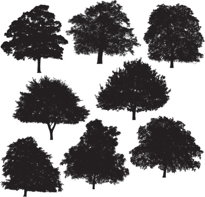 8 beautiful tree silhouettes.