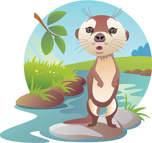 Nutria Cartoon Vectores Libres de Derechos - iStock Nutria Cartoon Vectores Libres de Derechos - iStock