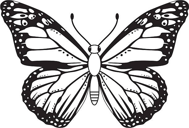 Black And White Butterflies Cartoon Illustrations, Royalty-Free Vector  Graphics & Clip Art - iStock