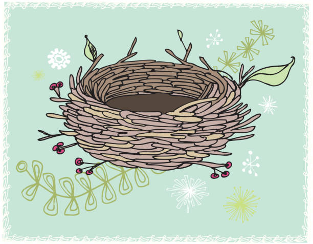 Empty Nester Graphics 5,900+ Empty Bird Nest Stock Illustrations, Royalty-Free Vector ...