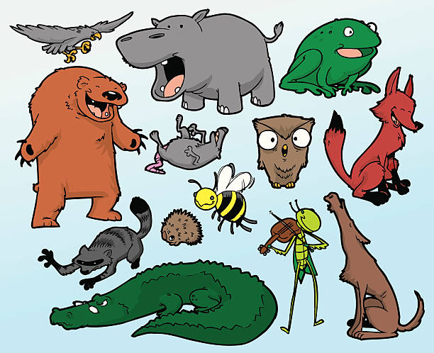 Wild Animal Collection A variety of different wild animals. All illustrated in a cartoon style. Also avaliable is a Domestic animal collection. angry opossum stock illustrations