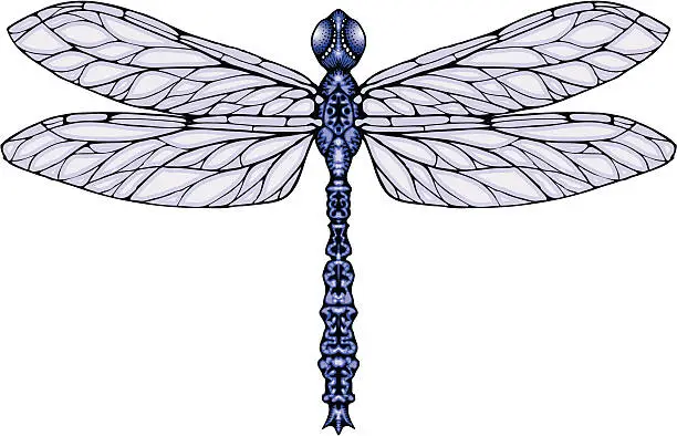 Vector illustration of Dragonfly