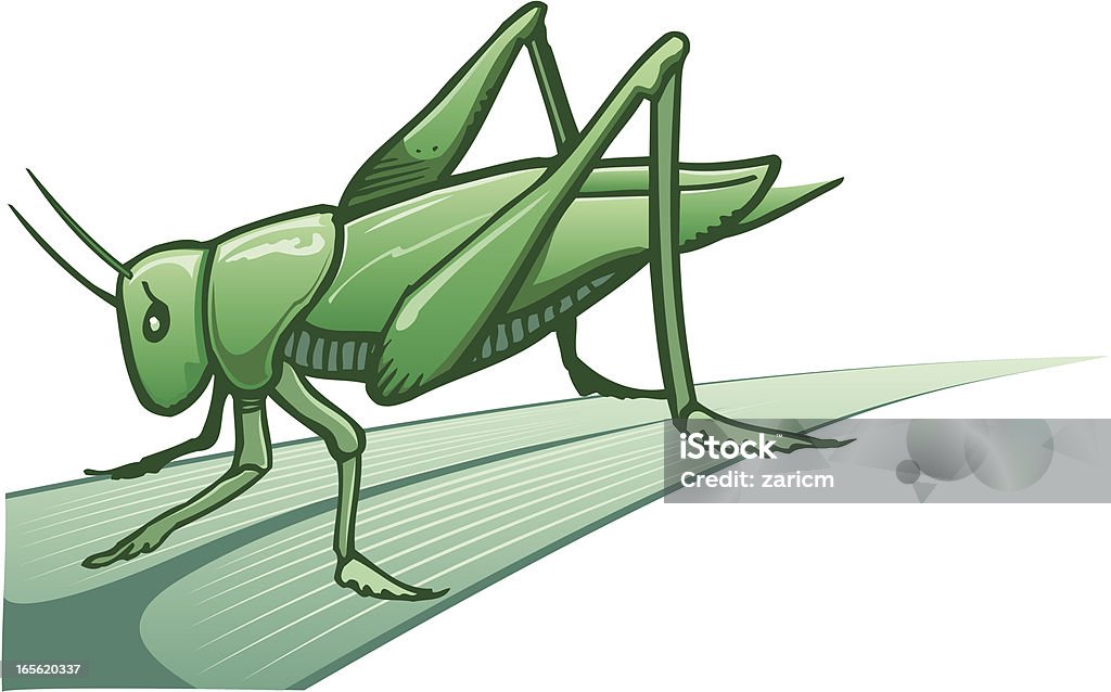 Grasshopper - Vetor de Saltão royalty-free