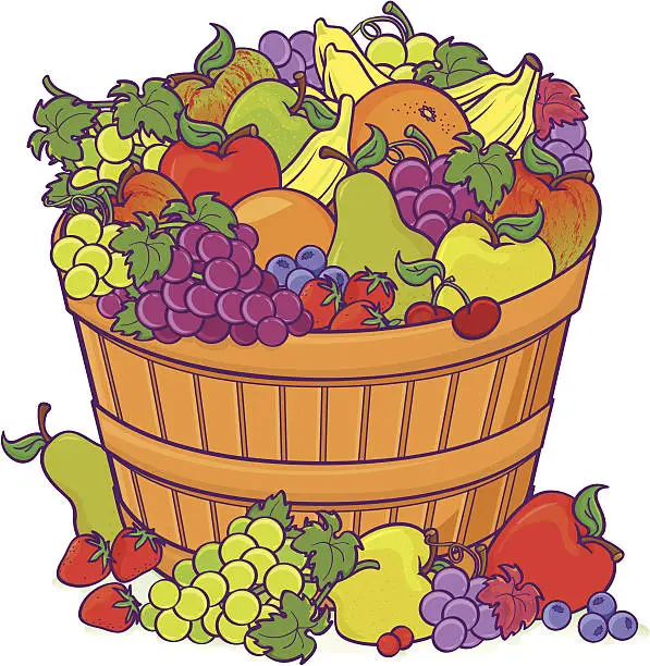 Vector illustration of Fruit basket bounty