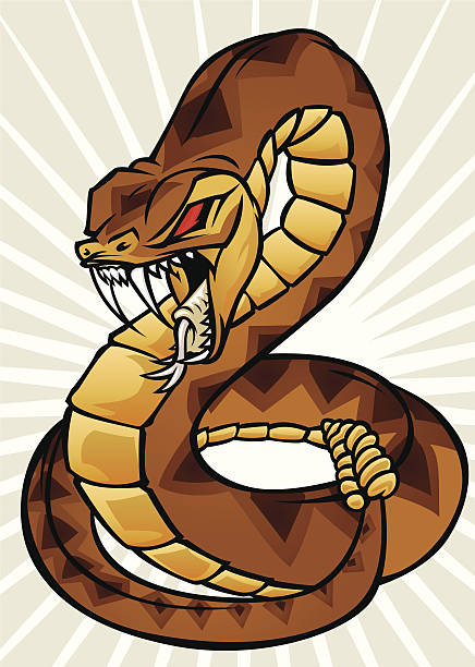 ilustrações de stock, clip art, desenhos animados e ícones de cascavel - snake cobra cartoon rattlesnake