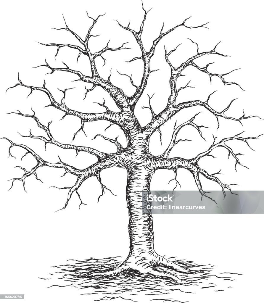 Winter tree Winter tree. Bare Tree stock vector