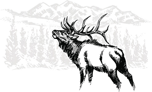 Hand drawn elk with a rough sketchy feel. Landscape image done with vertical lines... cool edgy effect!
