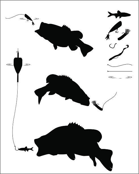 ilustraciones, imágenes clip art, dibujos animados e iconos de stock de bass silueta de pesca - black bass illustrations