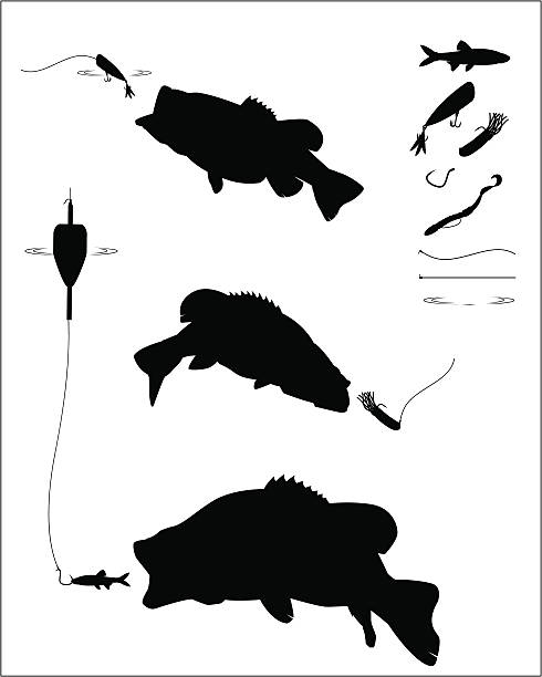 бас рыбалка силуэт набор - bass angling stock illustrations