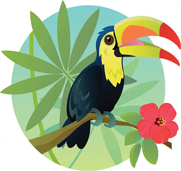 Vector illustration of Toucan Tropical Bird Sitting On Branch With Red Flower