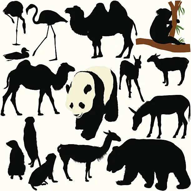 Vector illustration of Zoo Animal Silhouette Set