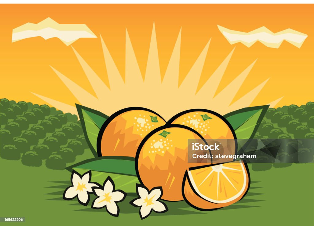 Orangeraie - clipart vectoriel de Orangeraie libre de droits