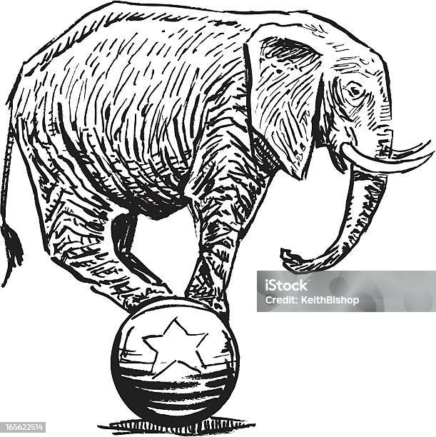 Elephant Balancing On Ball Circus Or Politics Stock Illustration - Download Image Now - Elephant, Circus, Sphere