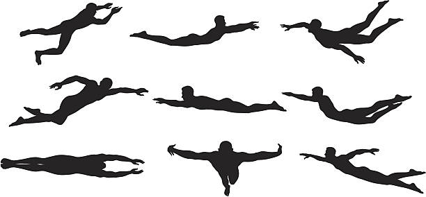 ilustraciones, imágenes clip art, dibujos animados e iconos de stock de nadador sihouettes - silhouette swimming action adult