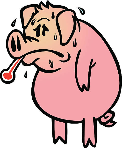 ilustrações, clipart, desenhos animados e ícones de porco de gripe - pig swine flu flu virus cold and flu