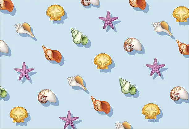 Vector illustration of seashell pattern