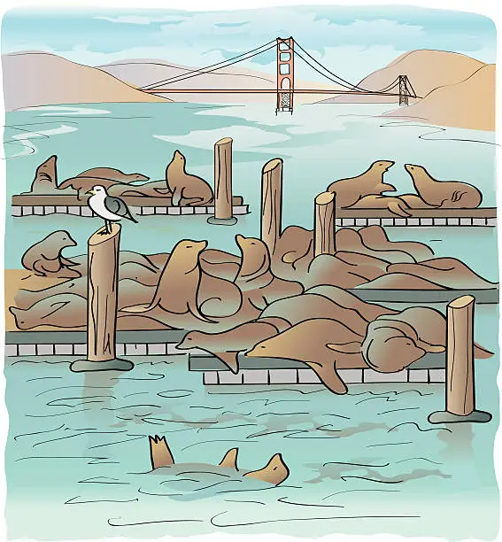 Vector illustration of Pier 39 - San Francisco