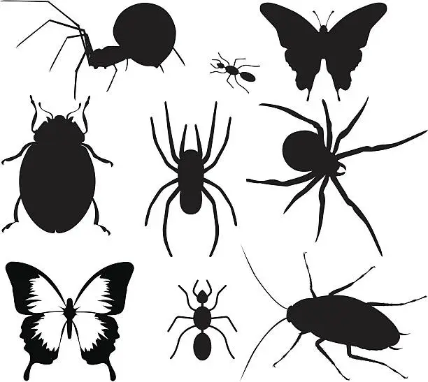 Vector illustration of insects