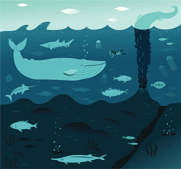 głębokie płetwal błękitny - podwodny ilustracje stock illustrations