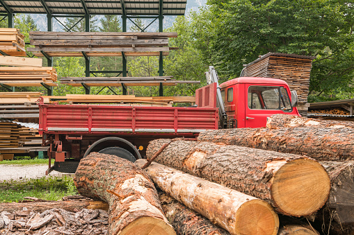Side view of a vintage 662N1 fiat truck in an Italian sawmill. Vintage transportation truck. Logs in the foreground.