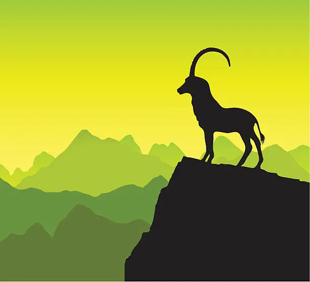Vector illustration of Mountain goat silhouette