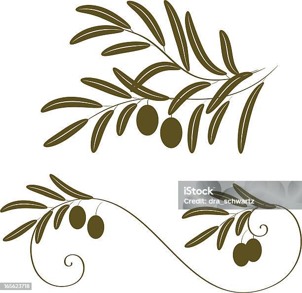 Olive Branch Vecteurs libres de droits et plus d'images vectorielles de Feuille - Feuille, Image clipart, Olive