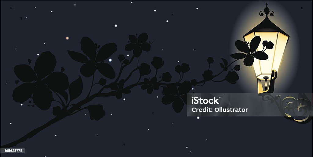 Delicate branch abloom at night Flower stock vector