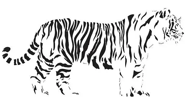 Vector illustration of Bengal Tiger vector