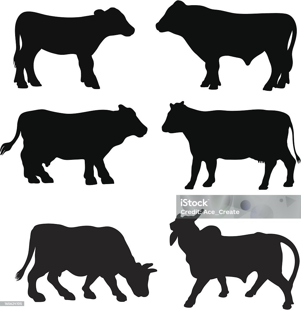 Cow breed silhouette collection A variety of cow breeds in silhouette profile. Beef Cattle stock vector