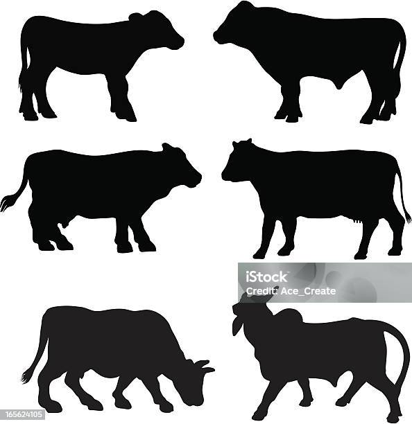 Cow Breed Silhouette Collection Stock Illustration - Download Image Now - Beef Cattle, Cattle, In Silhouette