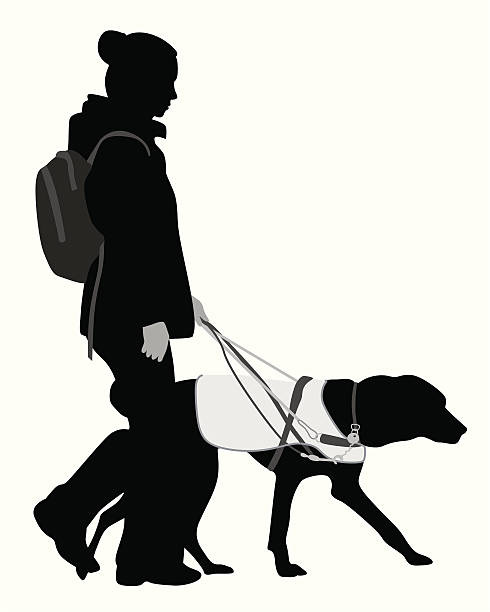 Guide Dog Vector Silhouette A-Digit bridle stock illustrations
