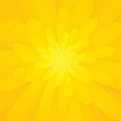 Yellow flower, concentric composition.