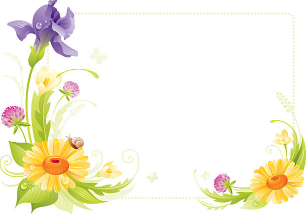 рамка цветы - single flower flower crocus spring stock illustrations