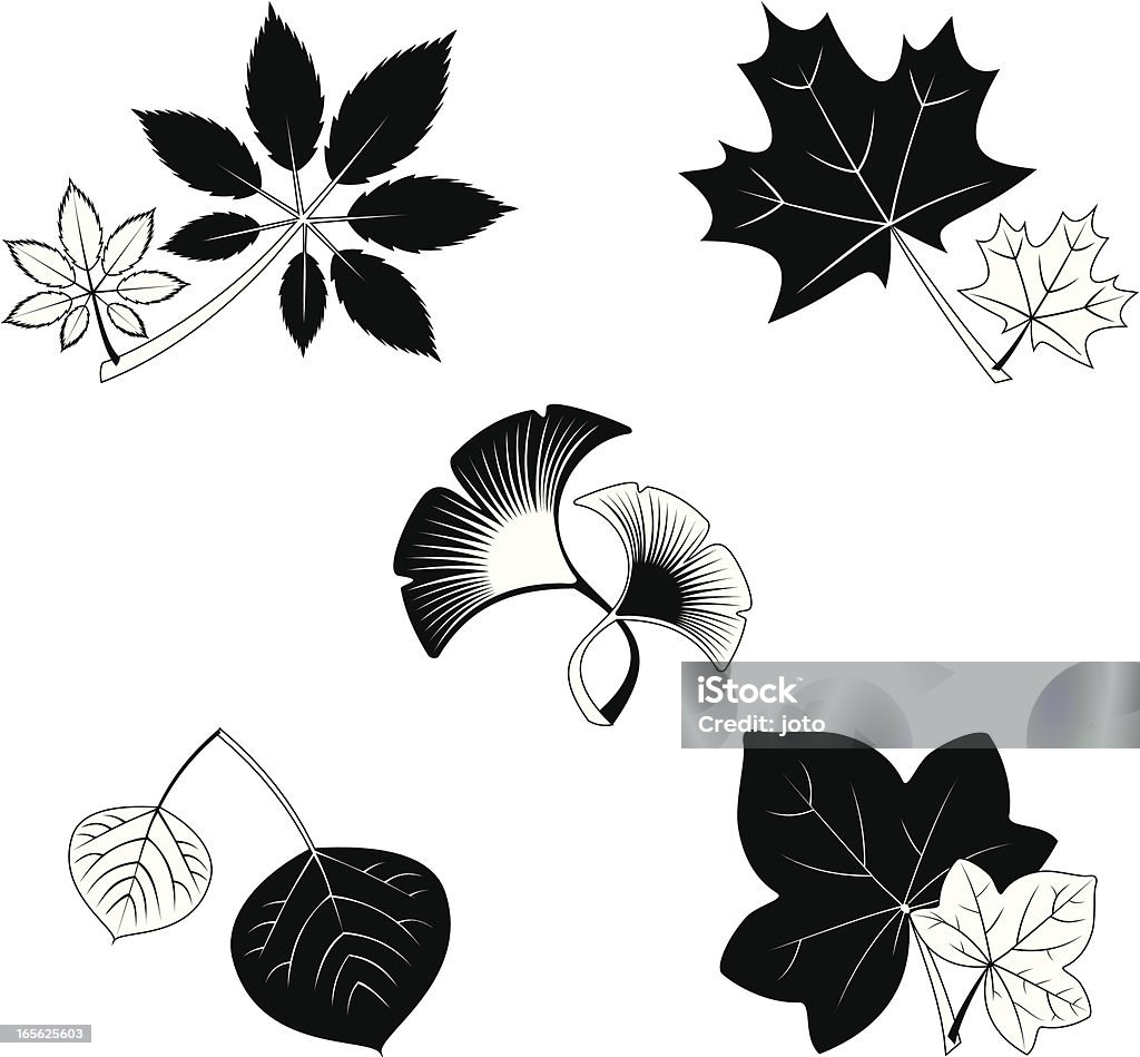 leafs - Royalty-free Hera - Trepadeira arte vetorial