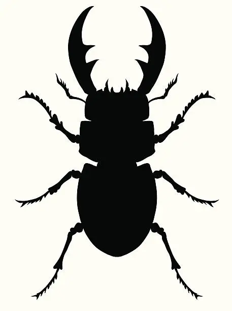 Vector illustration of Stag Beetle