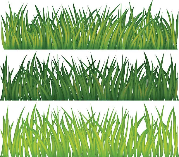 Vector illustration of Grass