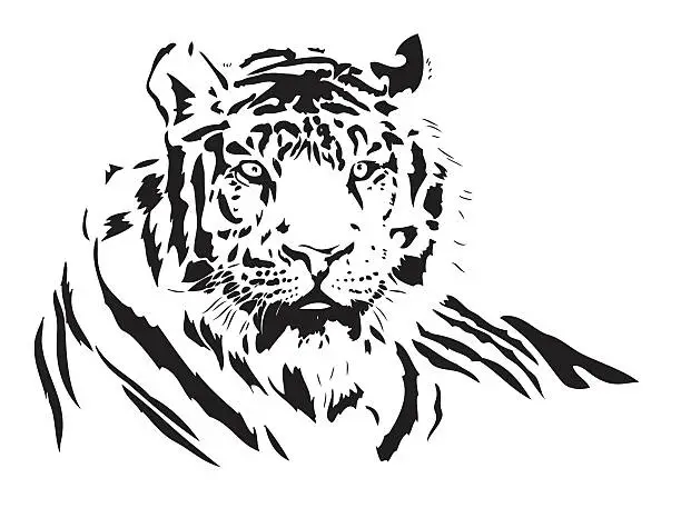 Vector illustration of Tiger vector