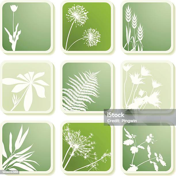 Растения Иконы — стоковая векторная графика и другие изображения на тему Папоротник - Папоротник, Одуванчик, Фоновые изображения