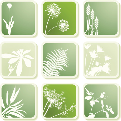 Variable plants silhouettes on icons with shadows. 