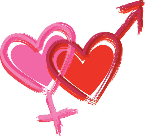 Gender hearts vector art illustration