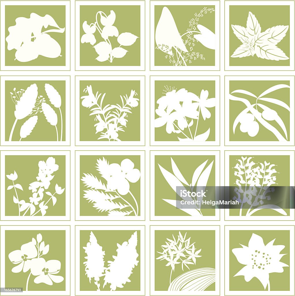Herbal Pflanzen medizinische Kräuter Silhouetten-Set - Lizenzfrei Teebaumöl Vektorgrafik