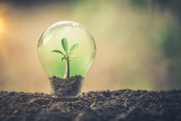 istock Symbol of environmental disaster or protection and helping tree growing a light bulb inside. Environment management for sustainable. Earth day concept 1656270121