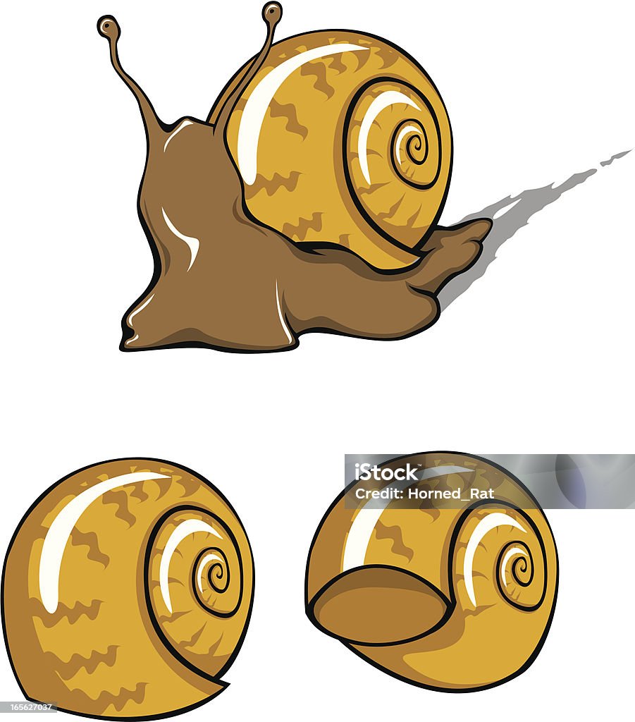 Europejski ślimak brązowy - Grafika wektorowa royalty-free (Bez ludzi)