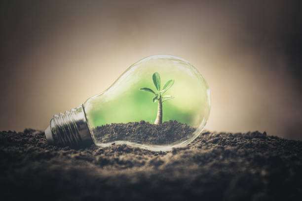 istock Symbol of environmental disaster or protection and helping tree growing a light bulb inside. Environment management for sustainable. Earth day concept 1656270670