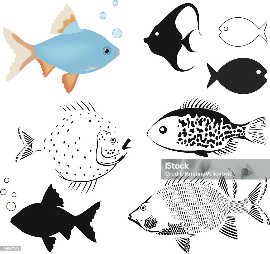 fishs - Vetor de Animal royalty-free