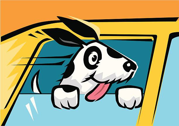 illustrazioni stock, clip art, cartoni animati e icone di tendenza di spot the cane - dog car