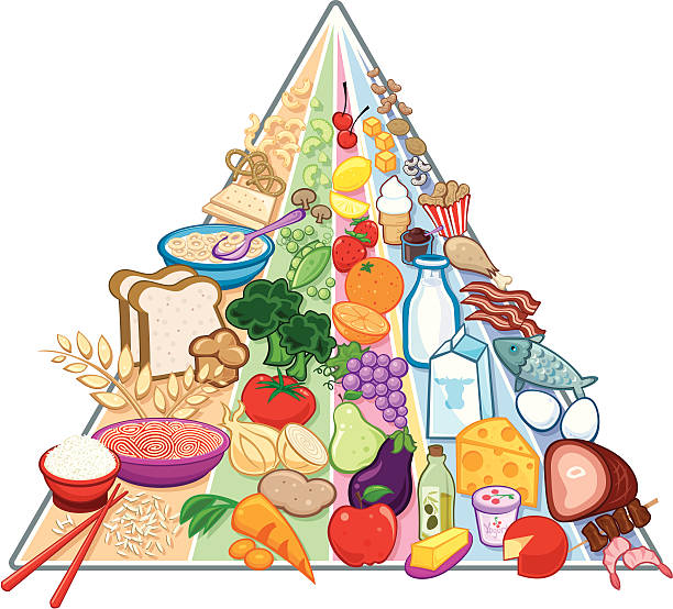 ilustraciones, imágenes clip art, dibujos animados e iconos de stock de nuevo usda pirámide de comida - food pyramid food healthy eating spaghetti