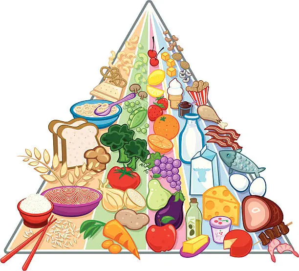 Vector illustration of New USDA Food Pyramid