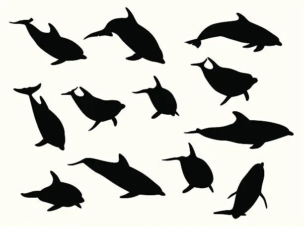 Vector illustration of Dolphins Vector Silhouette