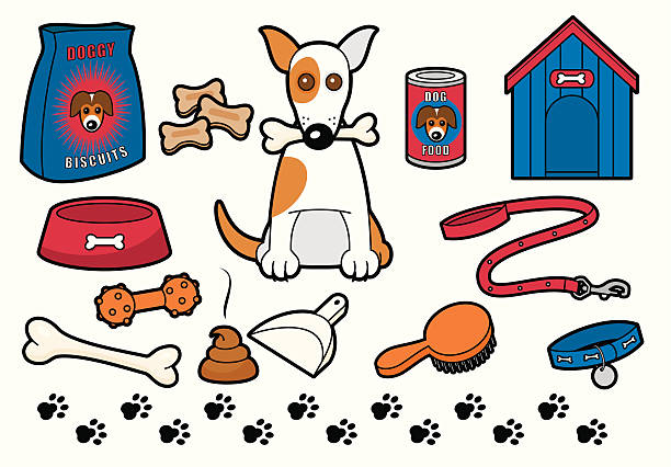 682 Dog Toy Illustrations & Clip Art - iStock | Dog toy isolated, Dog  treats, Dog